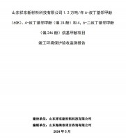 山東祥東新材料科技有限公司1.2萬噸/年6-叔丁基鄰甲(60K)、4-叔丁基鄰甲酚(偏 24 酚)和 4，6-二叔丁基鄰甲酚(偏 246 酚)烷基甲酚項目竣工環(huán)境保護(hù)驗收監(jiān)測報告